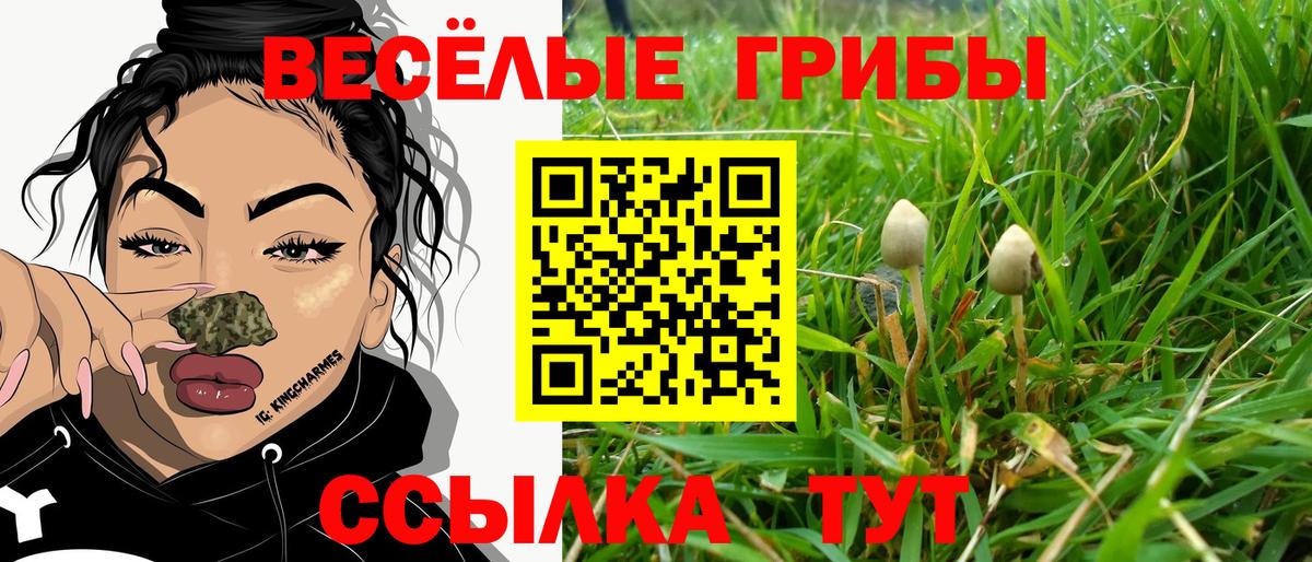 Псилоцибиновые грибы Magic Shrooms  Вход с VPN  Рассказово  Псилоцибиновые грибы Cubensis 