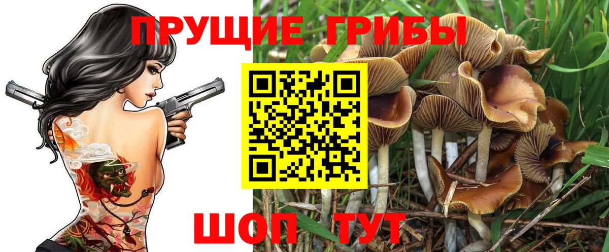 Псилоцибиновые грибы мухоморы Рассказово